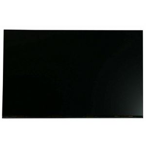21.5" LCD Touch Screen Assembly
